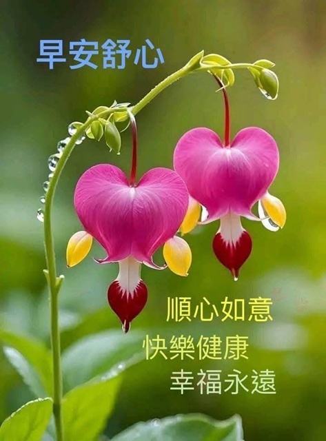 按我可連結至更清楚的圖片